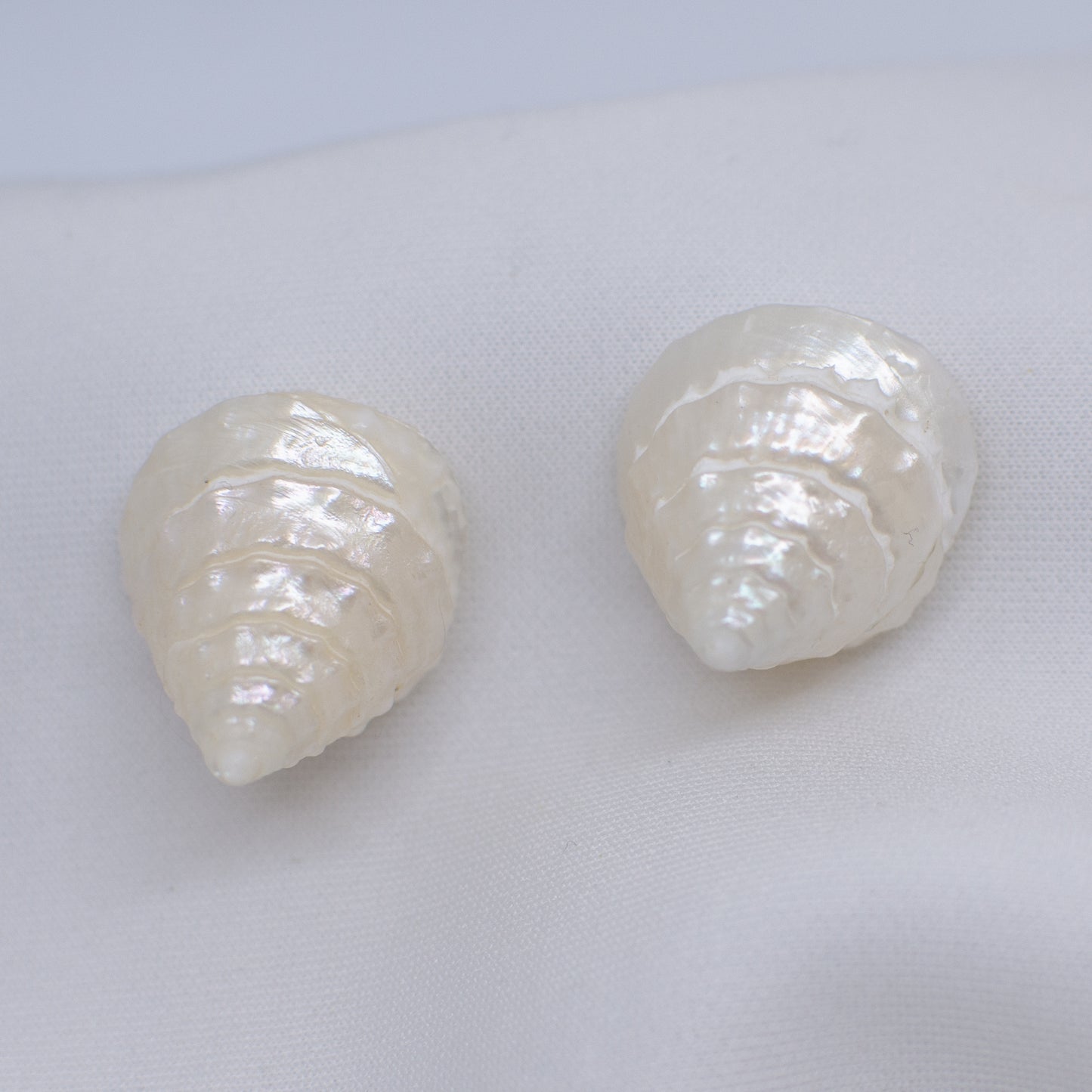 MERMAID STUDS - 18K GOLD SHELL STUDS